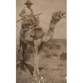 Photo from page 14 of album WWI Photograph Album - Egypt and Palestine, WWI