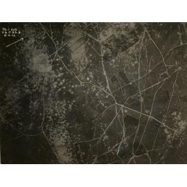 Photo from page 09 of album WWI Photograph Album - Western Front.