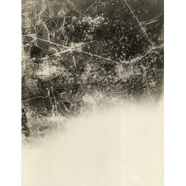 Photo from page 20 of album WWI Photograph Album - Western Front.