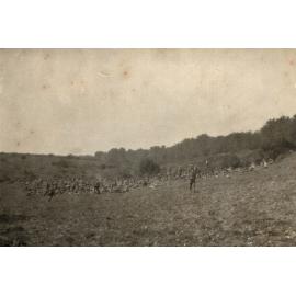 Photo from page 06 of album WWI Photograph Album - Western Front