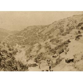 Photo from page 06 of album WWI Photograph Album - Egypt and Gallipoli