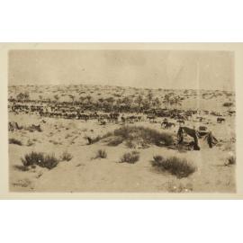 Photo from page 20 of album WWI Photograph Albums