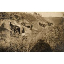 Photo from page 11 of album WWI Photograph Album - Western Front