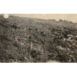Photo from page 19 of album WWI Photograph Album - Western Front