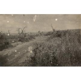 Photo from page 31 of album WWI Photograph Album - Western Front
