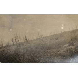 Photo from page 31 of album WWI Photograph Album - Western Front