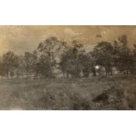 Photo from page 43 of album WWI Photograph Album - Western Front