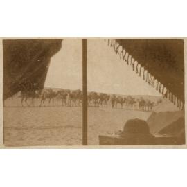 Photo from page 25 of album WWI Photograph Albums