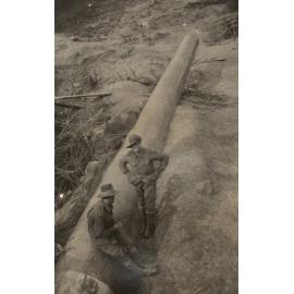 Photo from page 50 of album WWI Photograph Album - Western Front