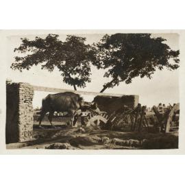 Photo from page 02 of album WWI Photograph Albums