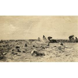 Photo from page 08 of album WWI Photograph Album - Egypt.