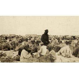 Photo from page 08 of album WWI Photograph Album - Egypt.