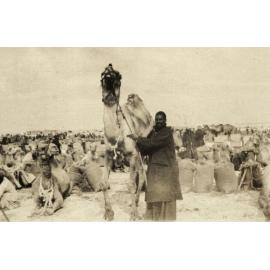 Photo from page 09 of album WWI Photograph Album - Egypt.