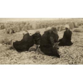 Photo from page 09 of album WWI Photograph Album - Egypt.