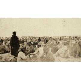 Photo from page 09 of album WWI Photograph Album - Egypt.
