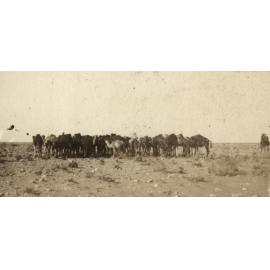 Photo from page 11 of album WWI Photograph Album - Egypt.