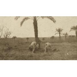Photo from page 12 of album WWI Photograph Album - Egypt.