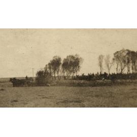 Photo from page 12 of album WWI Photograph Album - Egypt.
