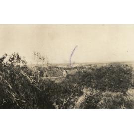 Photo from page 11 of album WWI Photograph Album - New Zealand, Egypt and Gallipoli