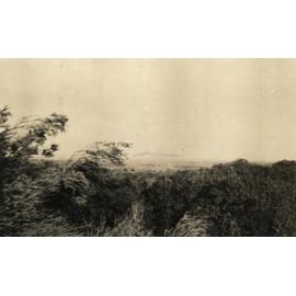 Photo from page 13 of album WWI Photograph Album - New Zealand, Egypt and Gallipoli