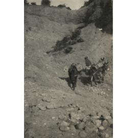 Photo from page 13 of album WWI Photograph Album - New Zealand, Egypt and Gallipoli