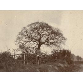 Photo from page 16 of album WWI Photograph Album - New Zealand, Egypt, Gallipoli, France and England.