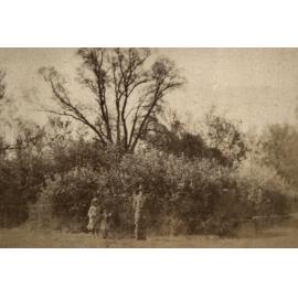 Photo from page 16 of album WWI Photograph Album - New Zealand, Egypt, Gallipoli, France and England.