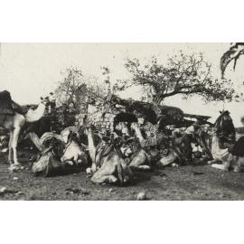 Photo from page 15 of album WWI Photograph Albums