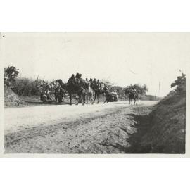 Photo from page 15 of album WWI Photograph Albums