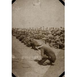 Photo from page 11 of album WWI Photograph Albums- Egypt, Gallipoli, Sinai & Palestine.