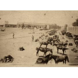 Photo from page 13 of album WWI Photograph Albums- Egypt, Gallipoli, Sinai & Palestine.