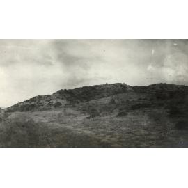 Photo from page 17 of album WWI Photograph Albums- Egypt, Gallipoli, Sinai & Palestine.