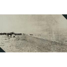 Photo from page 19 of album WWI Photograph Albums