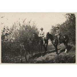 Photo from page 19 of album WWI Photograph Albums