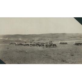 Photo from page 20 of album WWI Photograph Albums