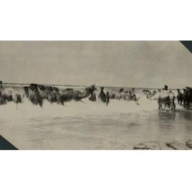 Photo from page 21 of album WWI Photograph Albums