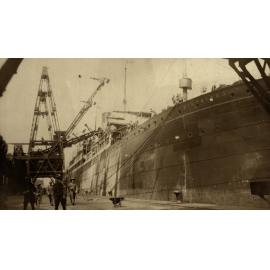 Photo from page 54 of album WWI Photograph Album- Nurses and Medical Services in England.