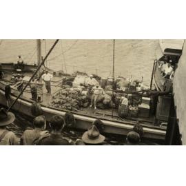 Photo from page 62 of album WWI Photograph Album- Nurses and Medical Services in England.