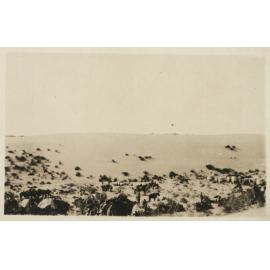 WWI Photograph Albums [loose photo]