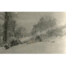 Photo from page 23 of album WWI Photograph Album- Egypt and Britain.