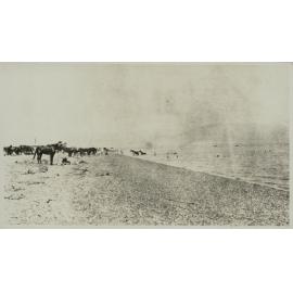 WWI Photograph Albums [loose photo]