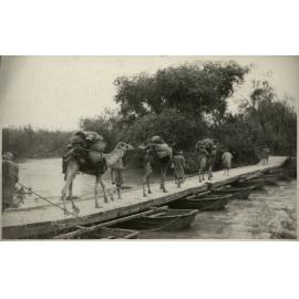 WWI Photograph Albums [loose photo]