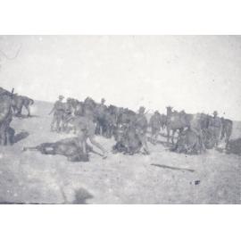 Photo from page 04 of album WWI Photograph Album- Egypt and Britain.