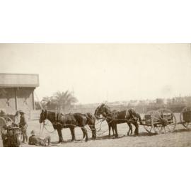 Photo from page 17 of album WWI Photograph Album- Egypt and Britain.