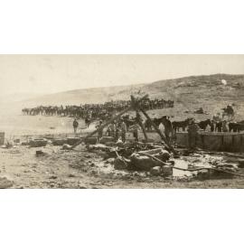 Photo from page 05 of album WWI Photograph Albums - Gallipoli & Sinai & Palestine.