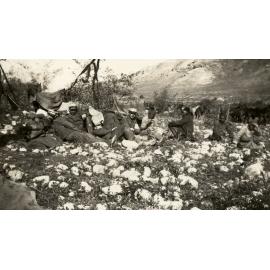 Photo from page 14 of album WWI Photograph Albums - Gallipoli & Sinai & Palestine.