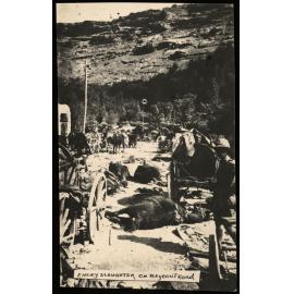 WWI Photograph Albums - Gallipoli & Sinai & Palestine. [loose photo]