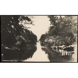 WWI Photograph Albums - Gallipoli & Sinai & Palestine. [loose photo]