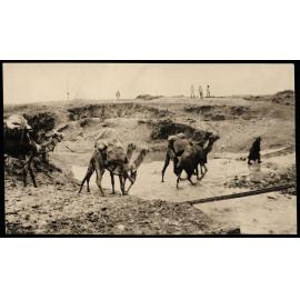 WWI Photograph Albums - Gallipoli & Sinai & Palestine. [loose photo]