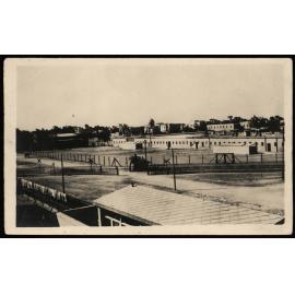 WWI Photograph Albums - Gallipoli & Sinai & Palestine. [loose photo]